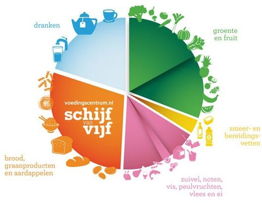 fysiotherapie-rotterdam-ommoord-fysio4you-de-schijf-van-vijf